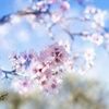 rachel_byler